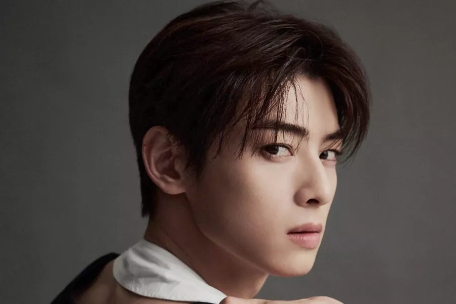 ASTRO Member Cha Eun Woo To Star In K-drama 'A Good Day To Be A Dog':  Reports - News18